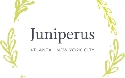 Juniperus Logo by Bora Shehu