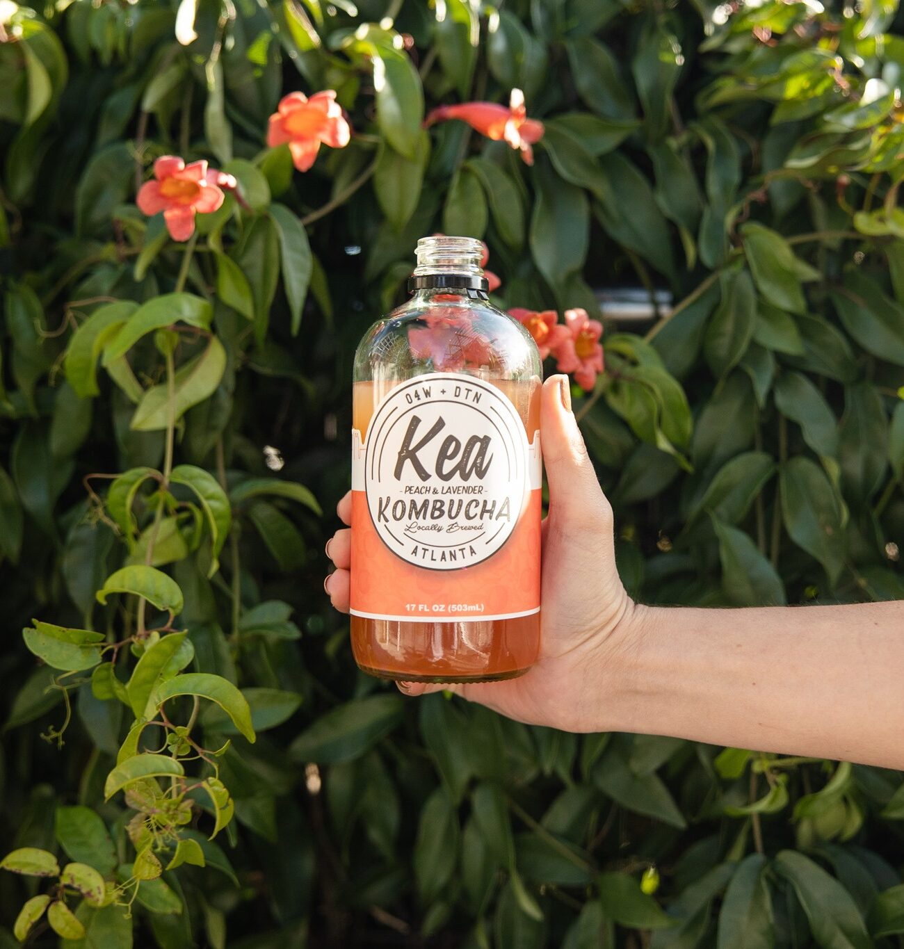 Kea Beverages kombucha | Juniperus inclusive, sustainable gift guide 2021